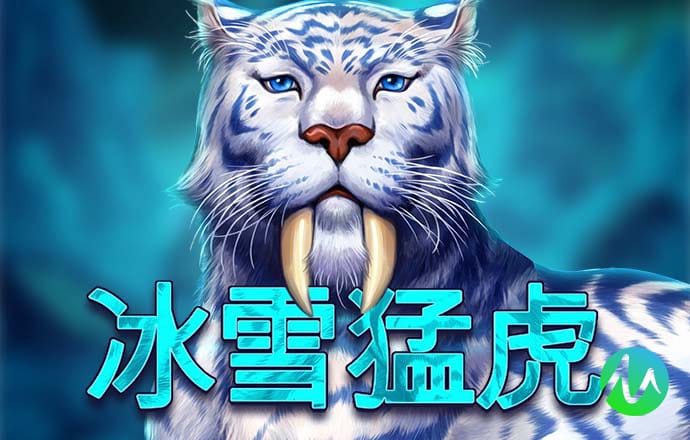 6t体育